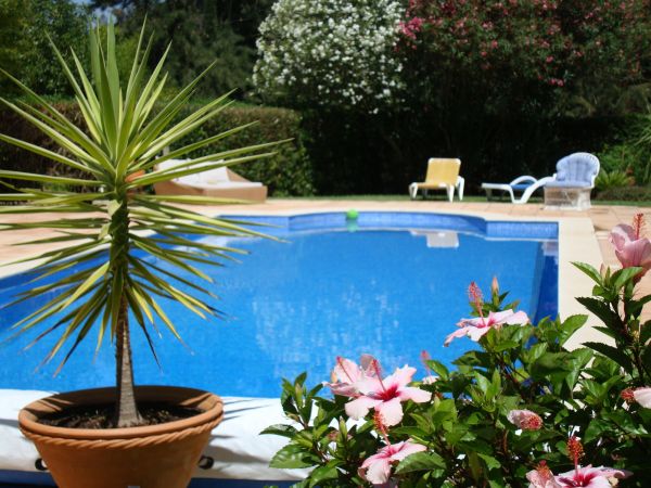 Pool Terrace Renovation in Kent